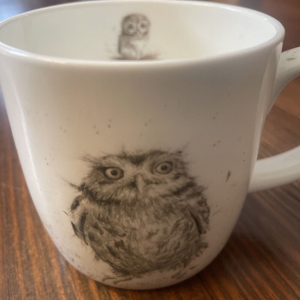 Royal Worcester Wrendale Designs What a Hoot Owl 14 oz Mug
